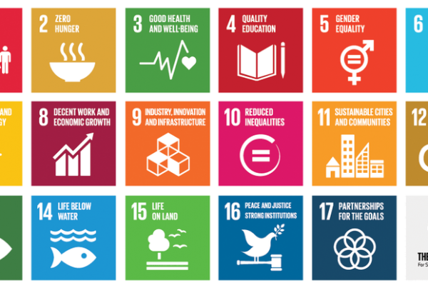 Sustainable Development Goals